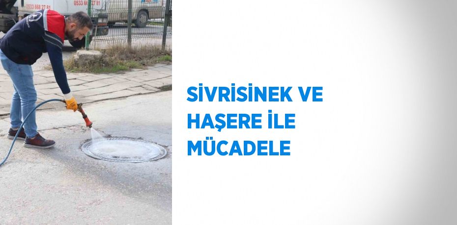 SİVRİSİNEK VE HAŞERE İLE MÜCADELE