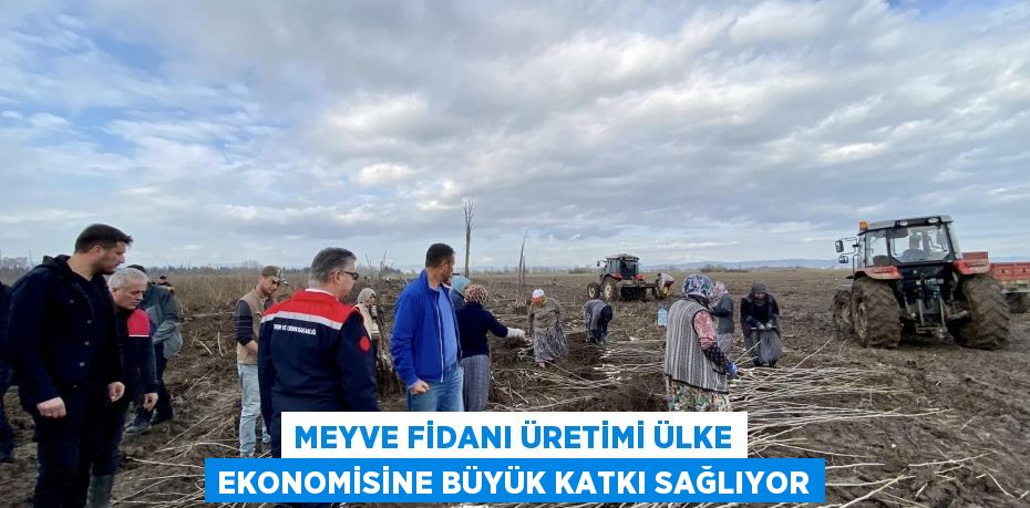 Meyve Fidanı Üretimi Ülke Ekonomisine Büyük Katkı Sağlıyor