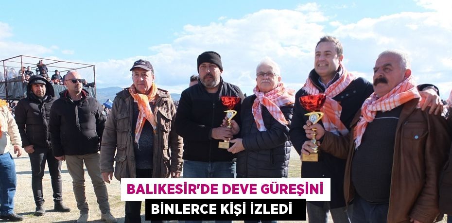 Balıkesir’de deve güreşini binlerce kişi izledi  