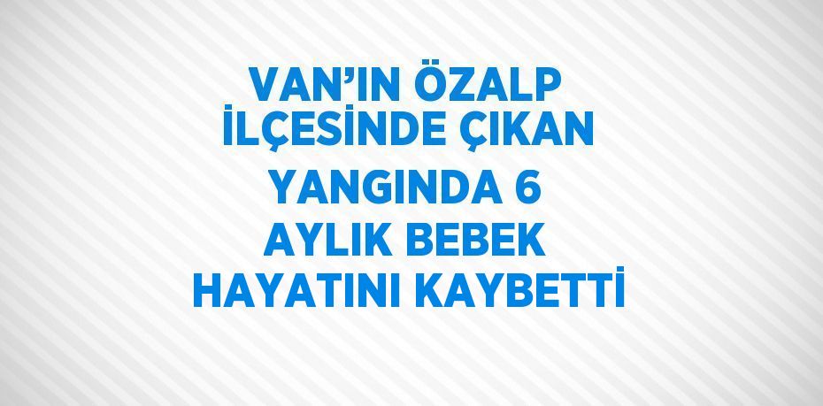 VAN’IN ÖZALP İLÇESİNDE ÇIKAN YANGINDA 6 AYLIK BEBEK HAYATINI KAYBETTİ