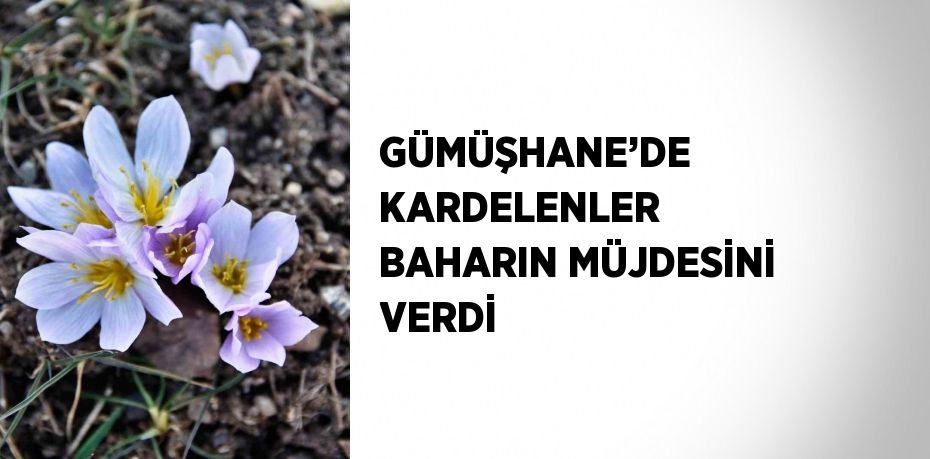 GÜMÜŞHANE’DE KARDELENLER BAHARIN MÜJDESİNİ VERDİ