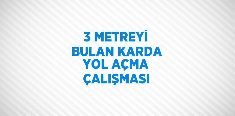 3 METREYİ BULAN KARDA YOL AÇMA ÇALIŞMASI