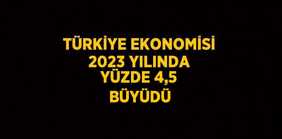 TÜRKİYE EKONOMİSİ 2023 YILINDA YÜZDE 4,5 BÜYÜDÜ