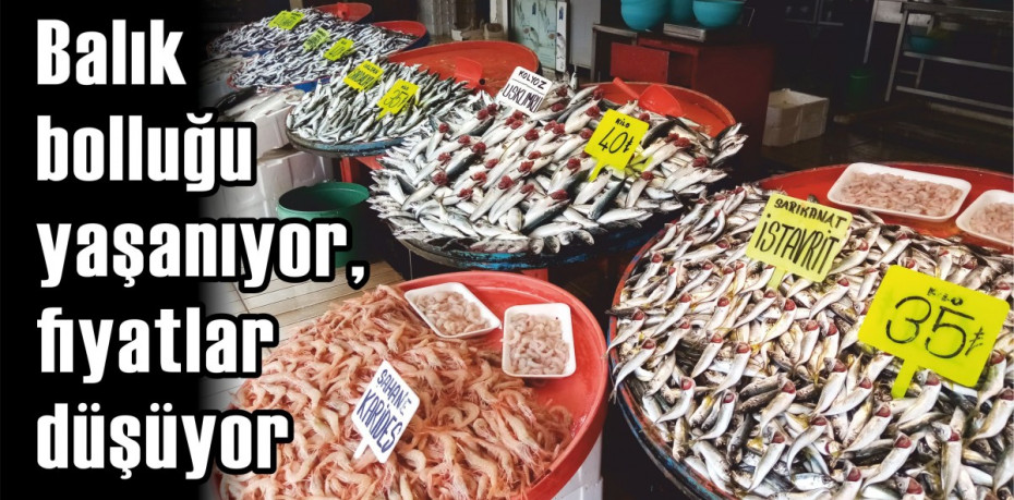 Balık bolluğu yaşanıyor, fiyatlar düşüyor