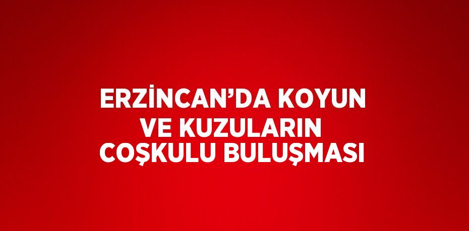 ERZİNCAN’DA KOYUN VE KUZULARIN COŞKULU BULUŞMASI