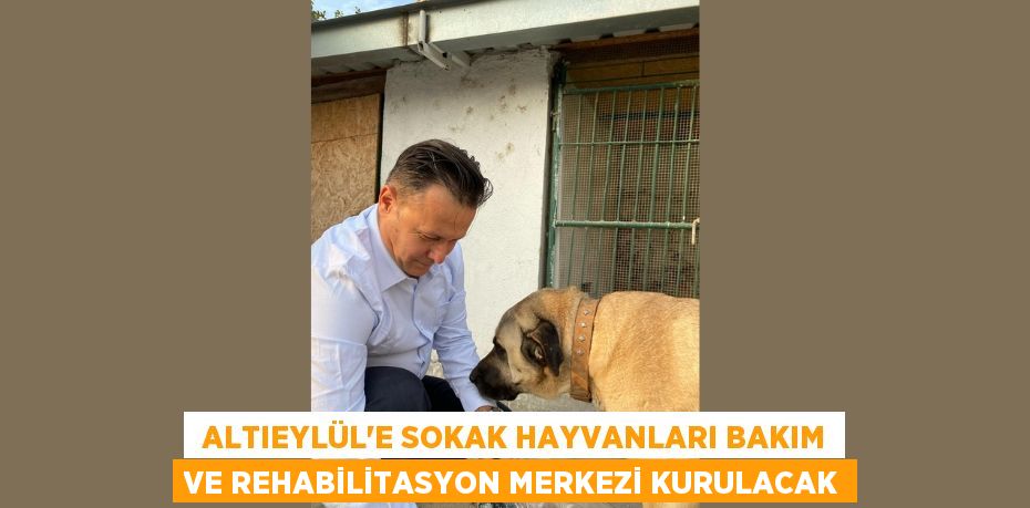Altıeylül’e Sokak Hayvanları Bakım ve Rehabilitasyon Merkezi Kurulacak