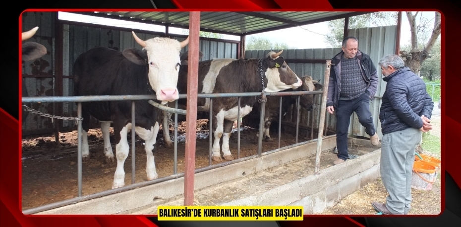 Balıkesir’de kurbanlık satışları başladı  