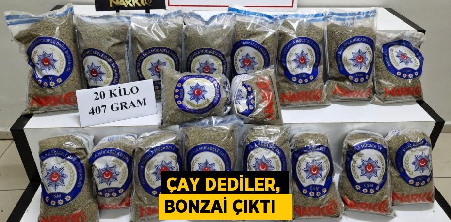 Çay dediler, bonzai çıktı