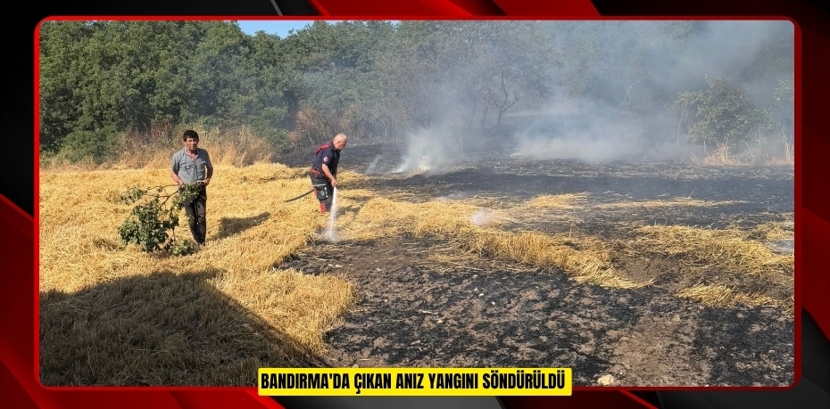 Bandırma'da çıkan anız yangını söndürüldü  