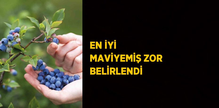 EN İYİ MAVİYEMİŞ ZOR BELİRLENDİ