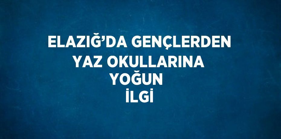 ELAZIĞ’DA GENÇLERDEN YAZ OKULLARINA YOĞUN İLGİ