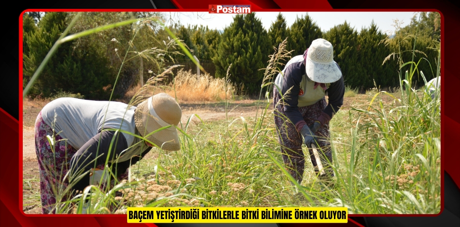 BAÇEM YETİŞTİRDİĞİ BİTKİLERLE BİTKİ BİLİMİNE ÖRNEK OLUYOR