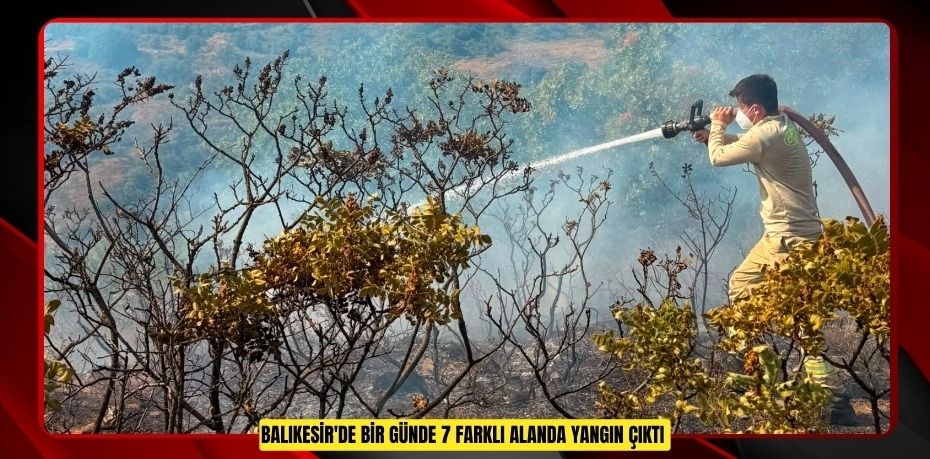 Balıkesir'de bir günde 7 farklı alanda yangın çıktı