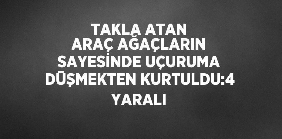 TAKLA ATAN ARAÇ AĞAÇLARIN SAYESİNDE UÇURUMA DÜŞMEKTEN KURTULDU:4 YARALI