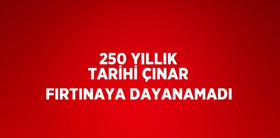 250 YILLIK TARİHİ ÇINAR FIRTINAYA DAYANAMADI