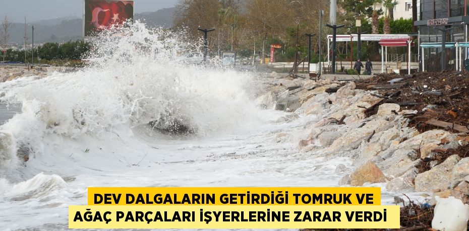 Dev dalgaların getirdiği tomruk ve ağaç parçaları işyerlerine zarar verdi