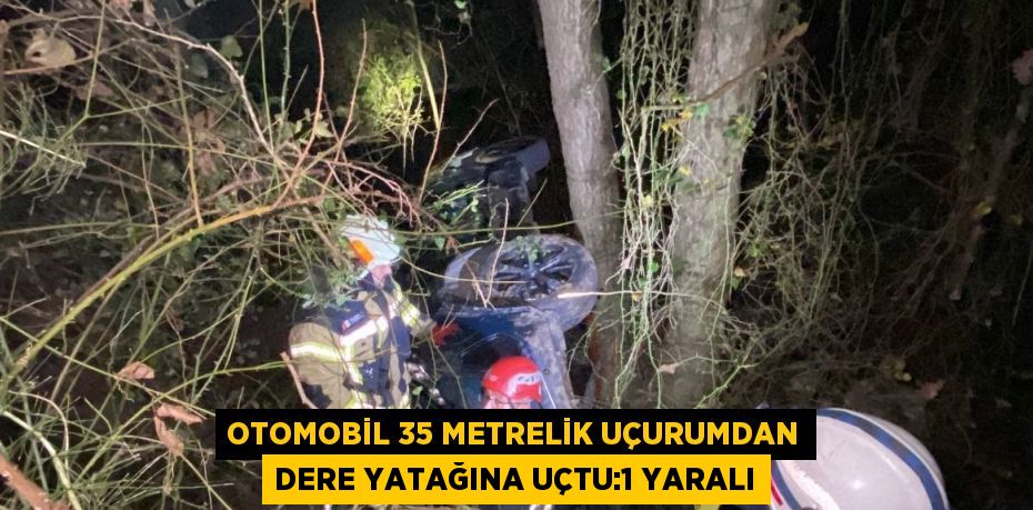 OTOMOBİL 35 METRELİK UÇURUMDAN DERE YATAĞINA UÇTU:1 YARALI