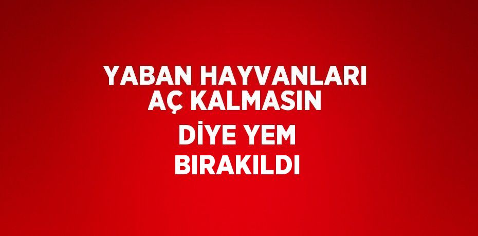 YABAN HAYVANLARI AÇ KALMASIN DİYE YEM BIRAKILDI