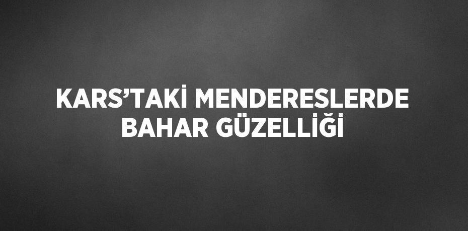 KARS’TAKİ MENDERESLERDE BAHAR GÜZELLİĞİ