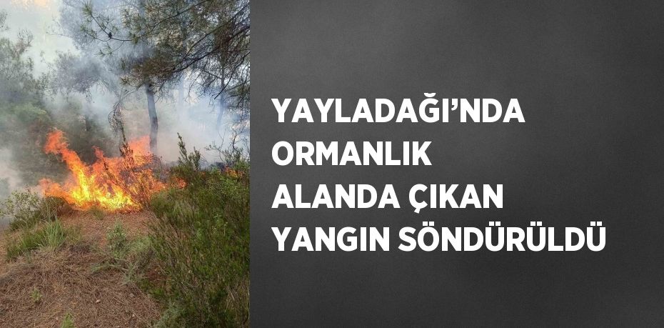 YAYLADAĞI’NDA ORMANLIK ALANDA ÇIKAN YANGIN SÖNDÜRÜLDÜ