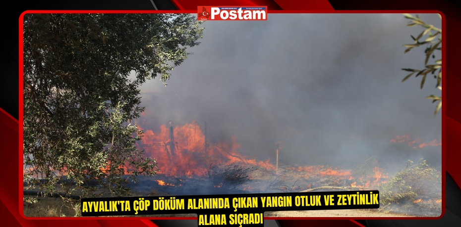 Ayvalık'ta çöp döküm alanında çıkan yangın otluk ve zeytinlik alana sıçradı