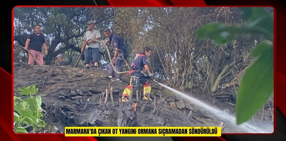 Marmara'da çıkan ot yangını ormana sıçramadan söndürüldü
