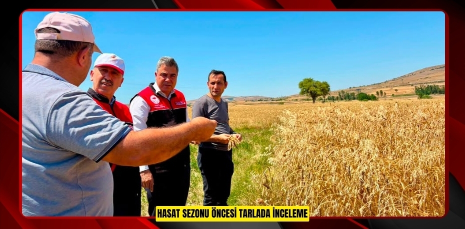 HASAT SEZONU ÖNCESİ TARLADA İNCELEME