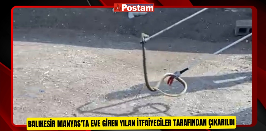 Balıkesir Manyas'ta eve giren yılan itfaiyeciler tarafından çıkarıldı