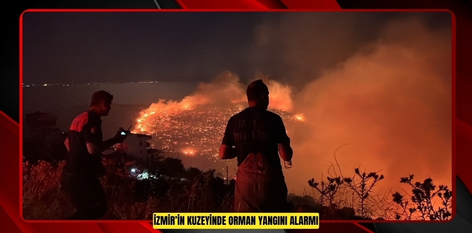 İzmir’in kuzeyinde orman yangını alarmı