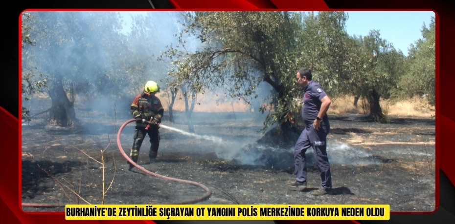 Burhaniye’de zeytinliğe sıçrayan ot yangını polis merkezinde korkuya neden oldu
