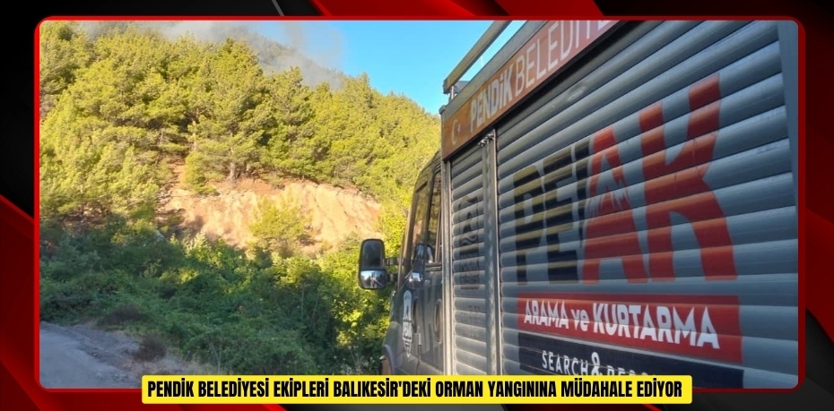 Pendik Belediyesi ekipleri Balıkesir'deki orman yangınına müdahale ediyor