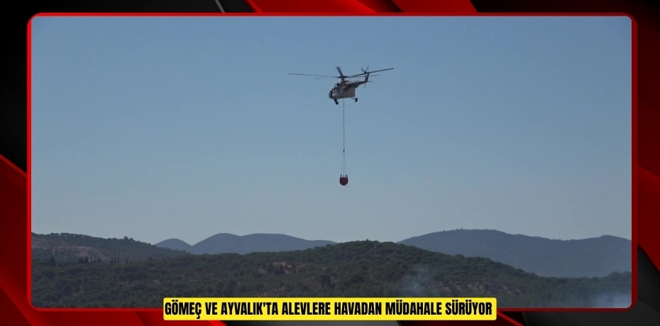 Gömeç ve Ayvalık'ta alevlere havadan müdahale sürüyor