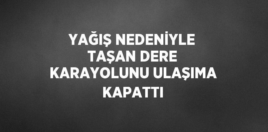 YAĞIŞ NEDENİYLE TAŞAN DERE KARAYOLUNU ULAŞIMA KAPATTI