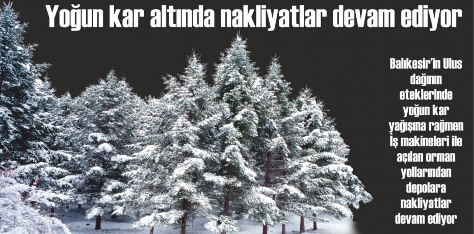 Yoğun kar altında nakliyatlar devam ediyor