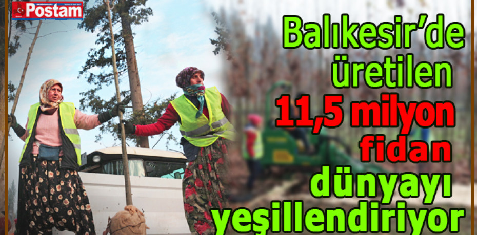 Balıkesir’de  üretilen fidanlar dünyayı yeşillendiriyor