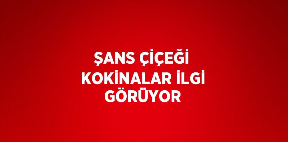 ŞANS ÇİÇEĞİ KOKİNALAR İLGİ GÖRÜYOR