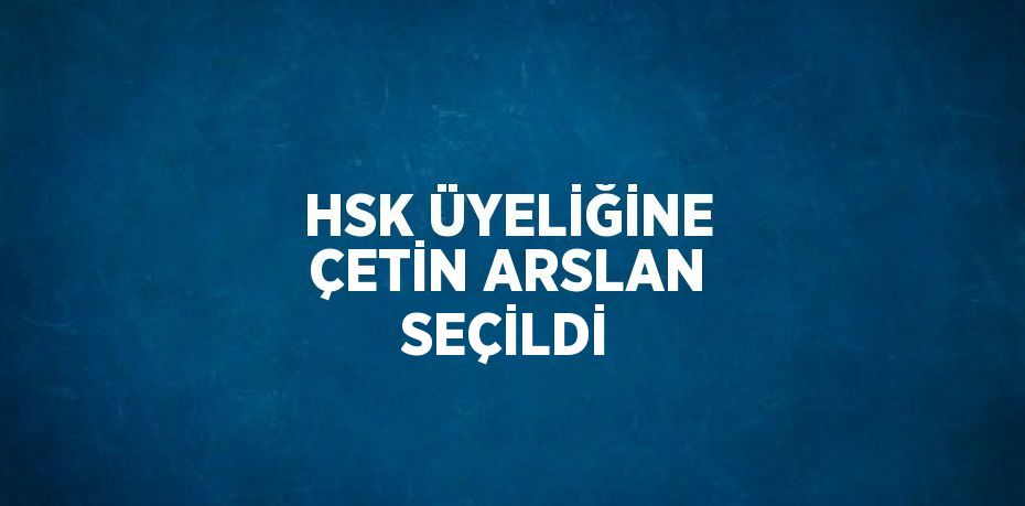 HSK ÜYELİĞİNE ÇETİN ARSLAN SEÇİLDİ