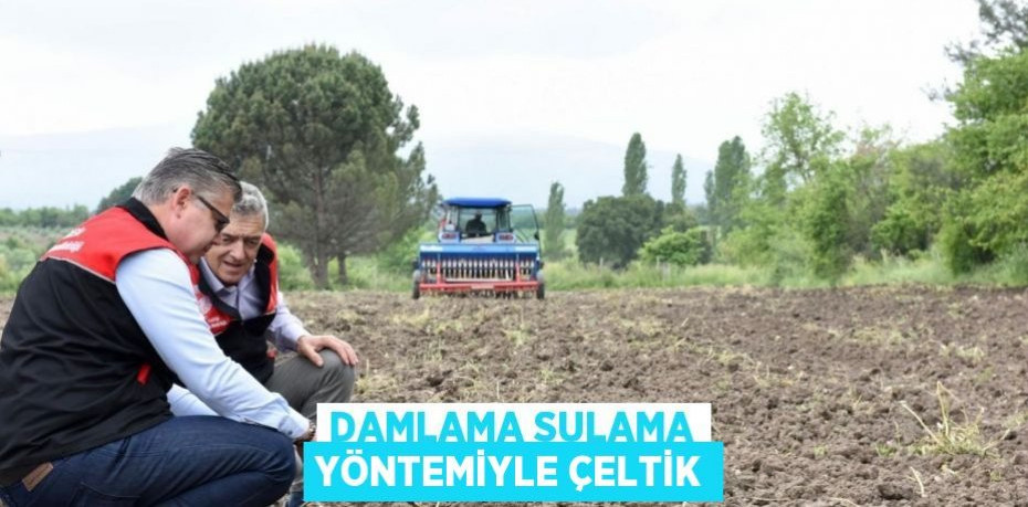 Damlama Sulama Yöntemiyle Çeltik