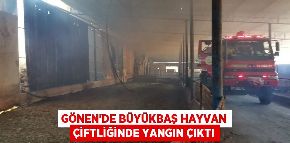 Gönen'de büyükbaş hayvan çiftliğinde yangın çıktı