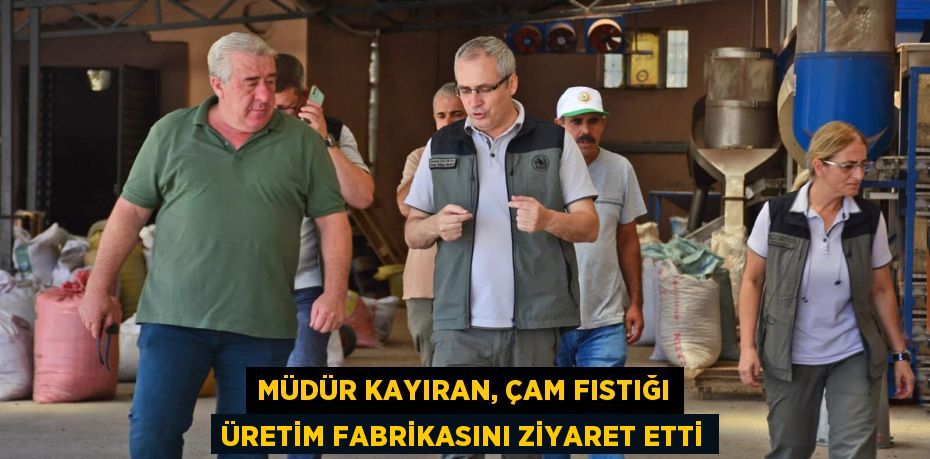 Müdür Kayıran, Çam fıstığı üretim fabrikasını ziyaret etti