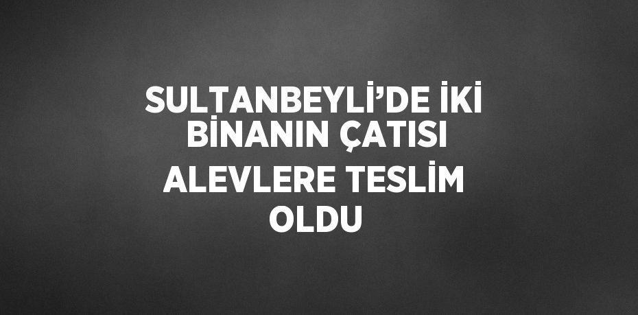 SULTANBEYLİ’DE İKİ BİNANIN ÇATISI ALEVLERE TESLİM OLDU
