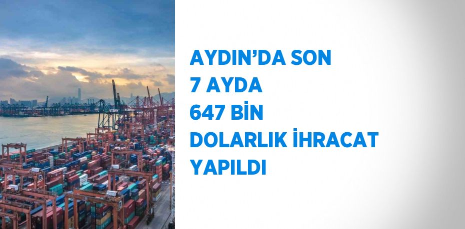 AYDIN’DA SON 7 AYDA 647 BİN DOLARLIK İHRACAT YAPILDI