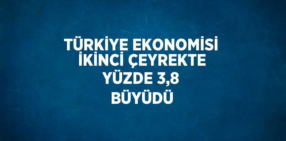 TÜRKİYE EKONOMİSİ İKİNCİ ÇEYREKTE YÜZDE 3,8 BÜYÜDÜ