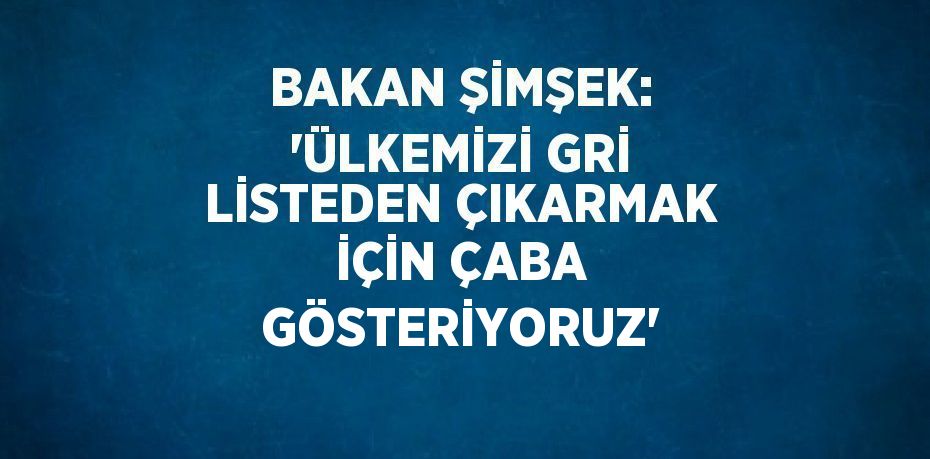 BAKAN ŞİMŞEK: 'ÜLKEMİZİ GRİ LİSTEDEN ÇIKARMAK İÇİN ÇABA GÖSTERİYORUZ'