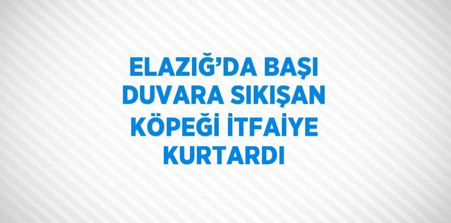 ELAZIĞ’DA BAŞI DUVARA SIKIŞAN KÖPEĞİ İTFAİYE KURTARDI