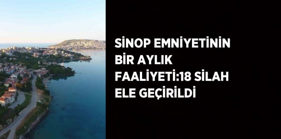 SİNOP EMNİYETİNİN BİR AYLIK FAALİYETİ:18 SİLAH ELE GEÇİRİLDİ