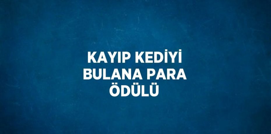 KAYIP KEDİYİ BULANA PARA ÖDÜLÜ