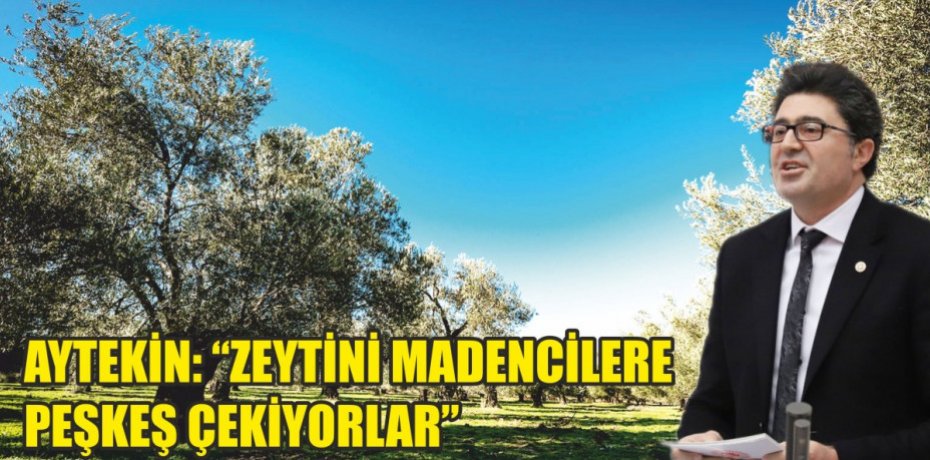 AYTEKİN: “ZEYTİNİ MADENCİLERE PEŞKEŞ ÇEKİYORLAR”