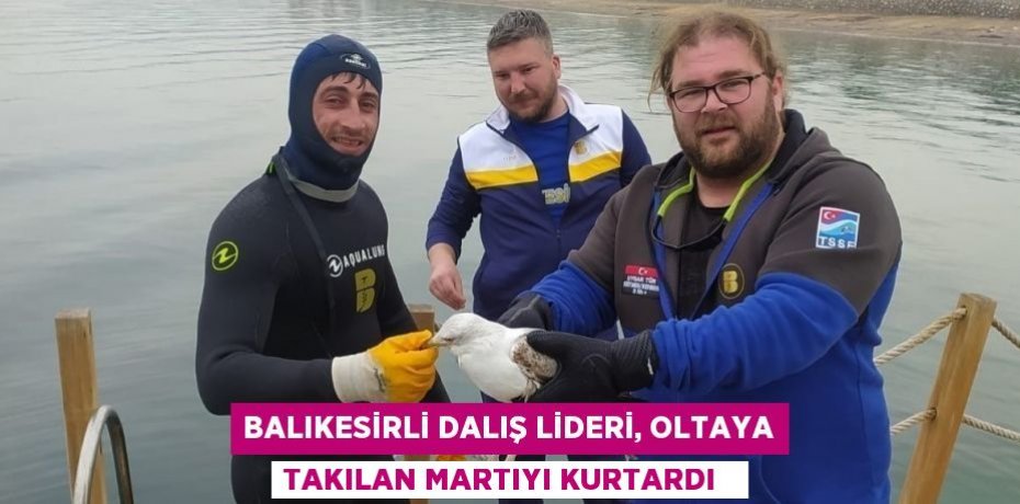 Balıkesirli dalış lideri, oltaya takılan martıyı kurtardı  