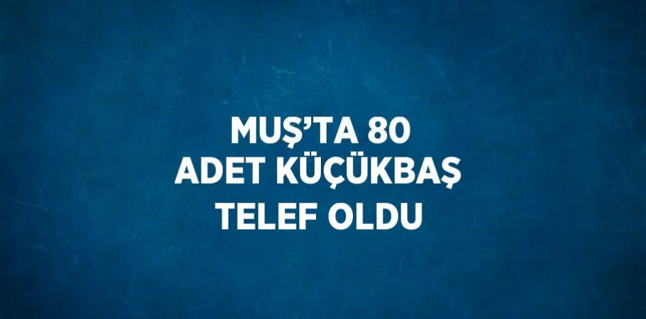 MUŞ’TA 80 ADET KÜÇÜKBAŞ TELEF OLDU